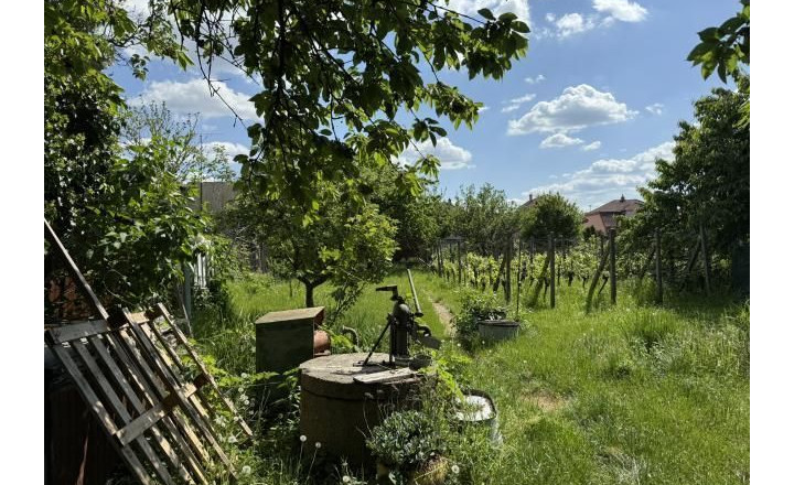 Na predaj rodinný dom v Grinave  - fotografia 4